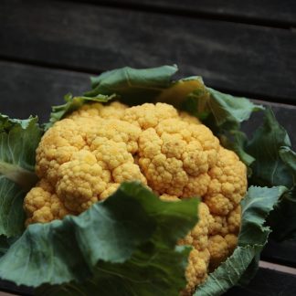 產銷履歷花椰菜