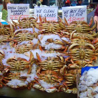 斯里蘭卡母花蟹1隻(200~250g/隻)